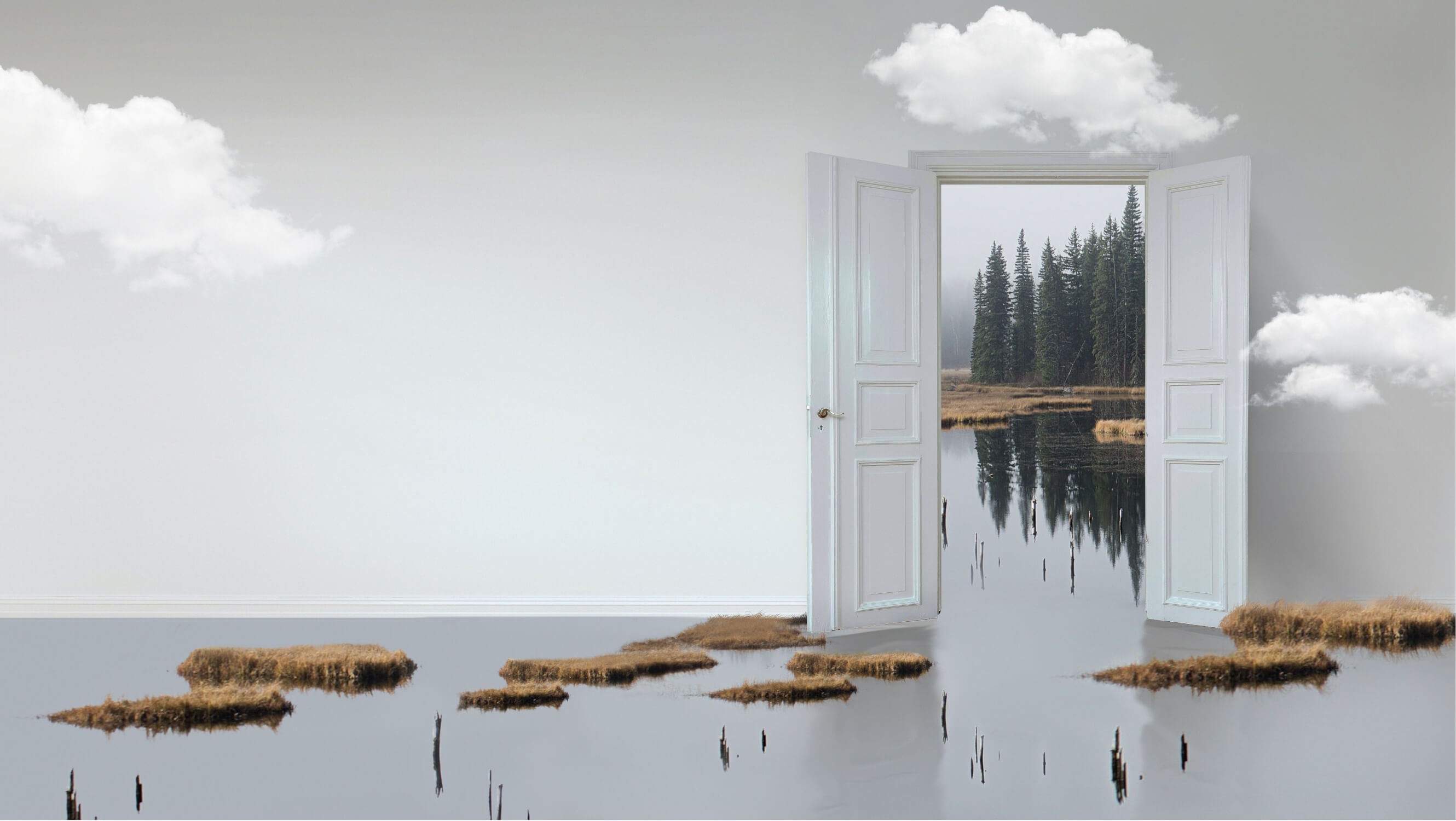 3D Wall Mural Door Trompe L'Oeil | Murals Wallpaper