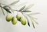 Big Olives Watercolor Mural Wallpaper