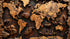 Papier Peint Carte Du Monde Bois 3d