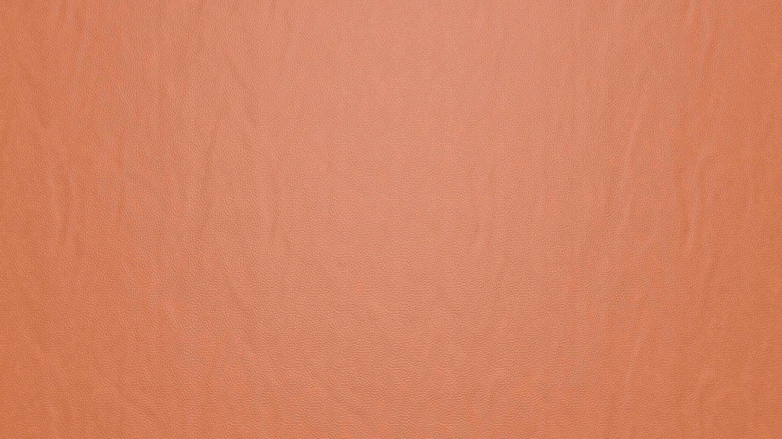 Solid Terracotta Wallpaper | Murals Wallpaper