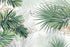Mural Jungle Plant Wallpaper