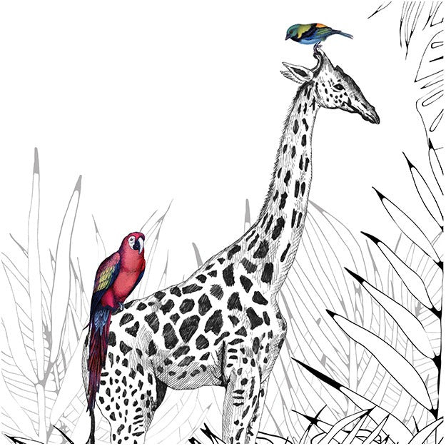 Wandbild-Tapete in Schwarz-Weiß, Savannah