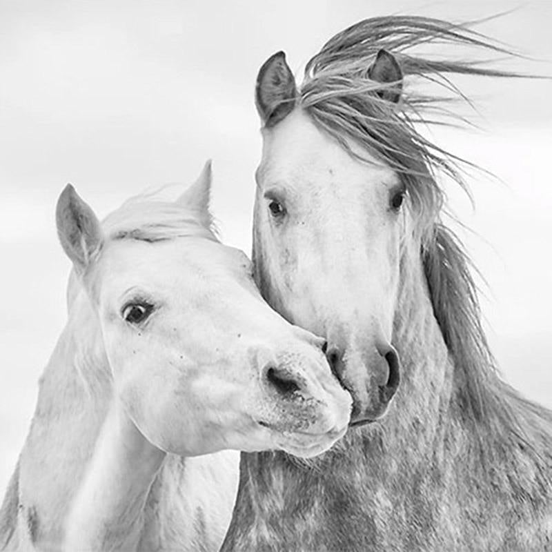 3D Horse Wallpaper | Murals Wallpaper