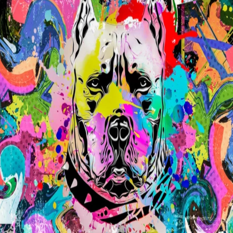 Graffiti Wallpaper for Bedroom | Murals Wallpaper