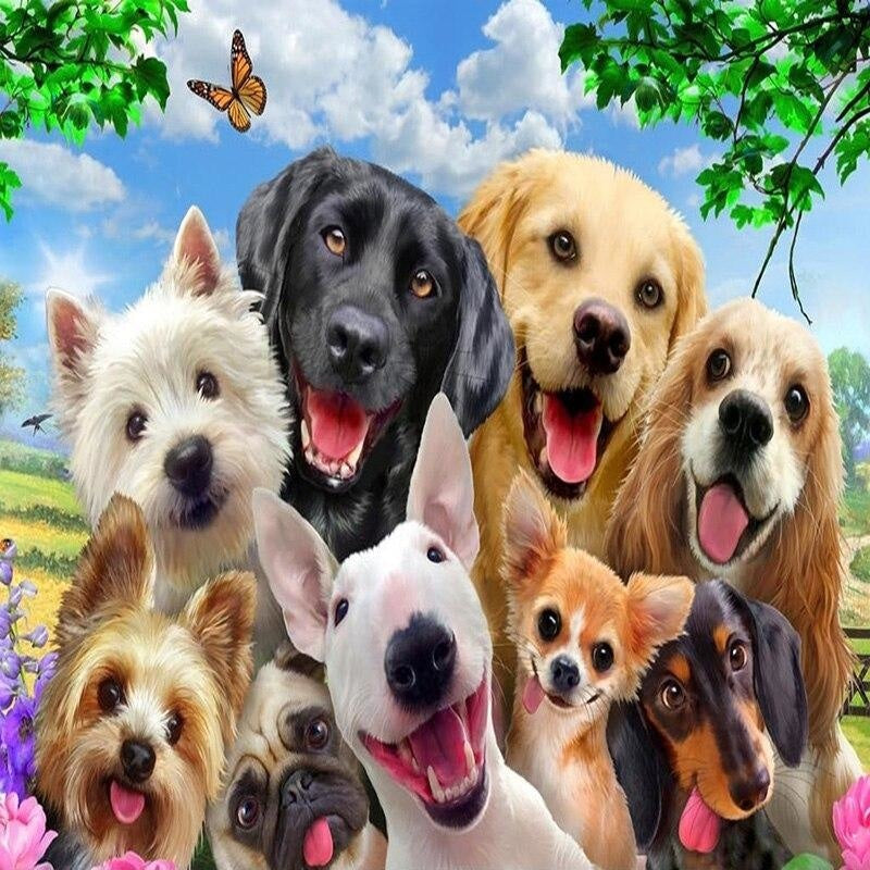 Dog Wallpaper | Murals Wallpaper