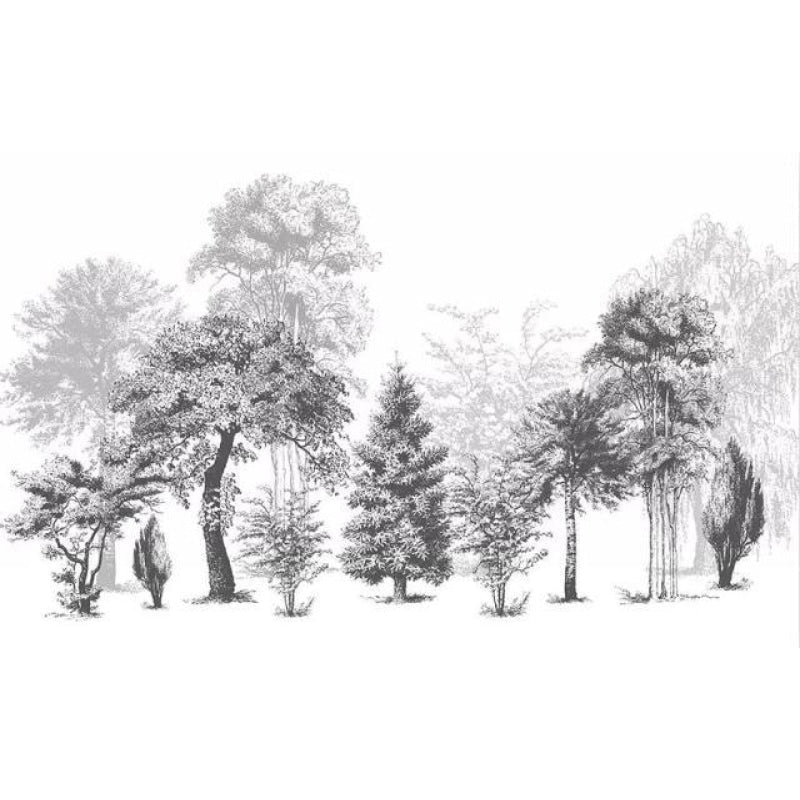 Papier Peint Noir und Blanc Forêt