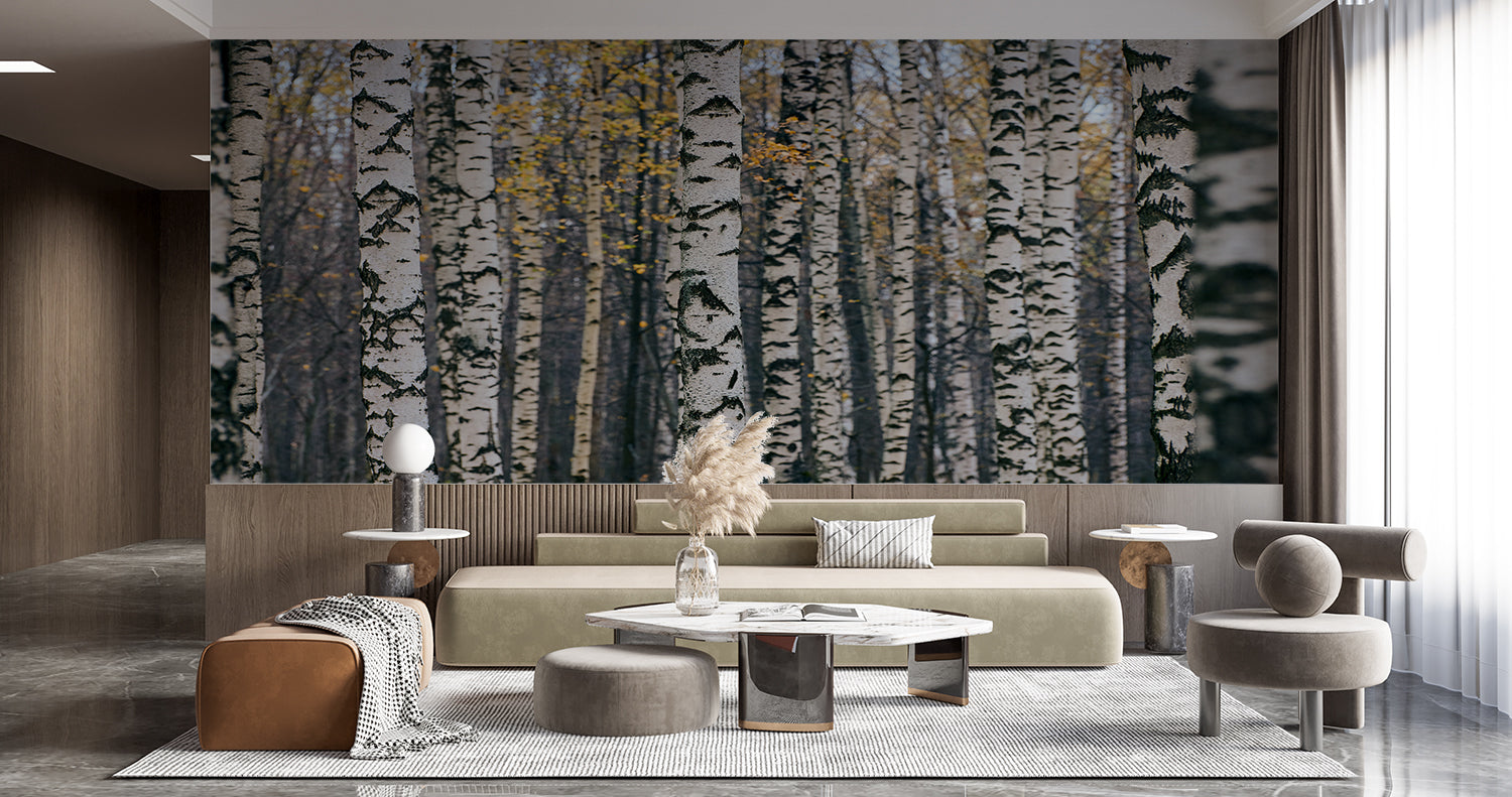 Forest Effect Wallpaper | Murals Wallpaper