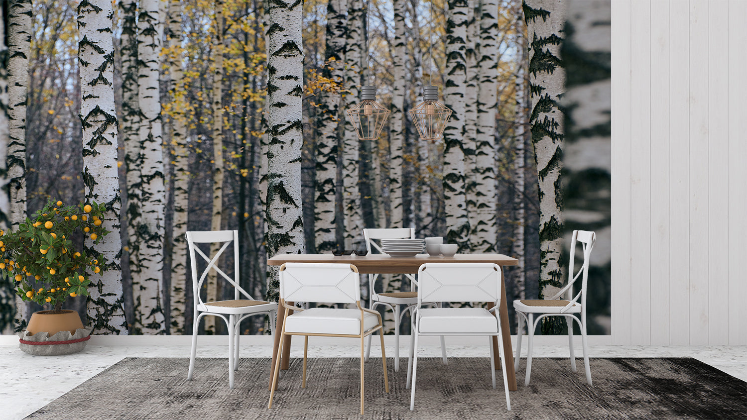 Forest Effect Wallpaper | Murals Wallpaper