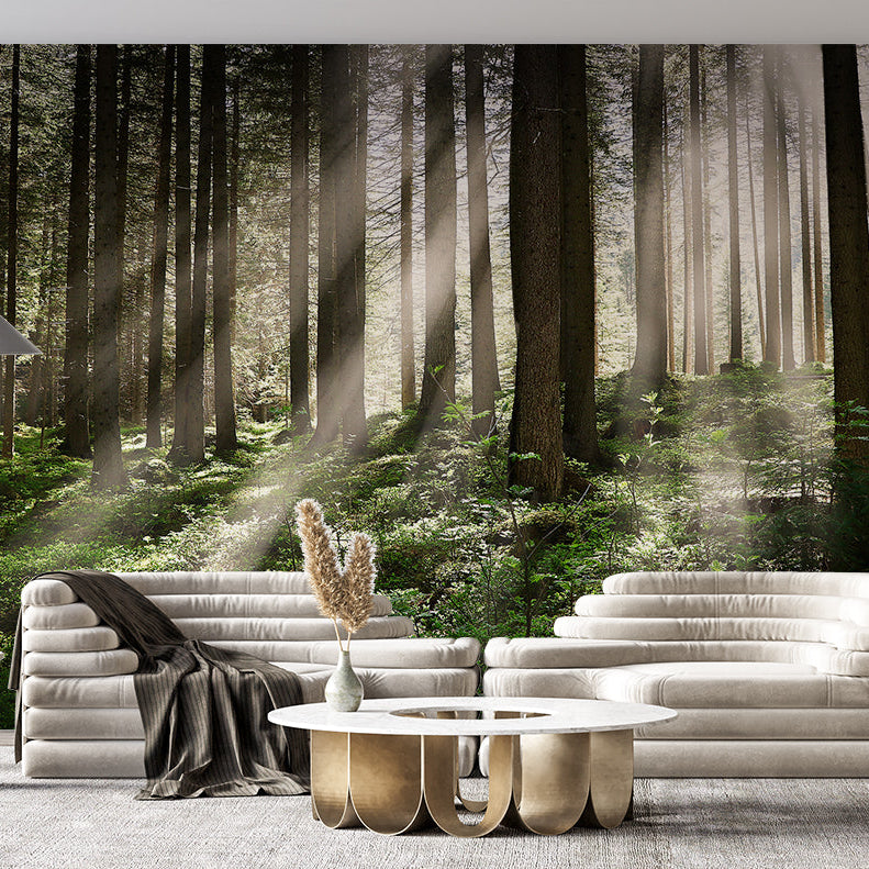 Non-Woven Forest Wallpaper | Murals Wallpaper