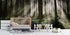 Papier Peint Intissé Foret