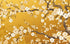 Papier Peint Japonais Jaune