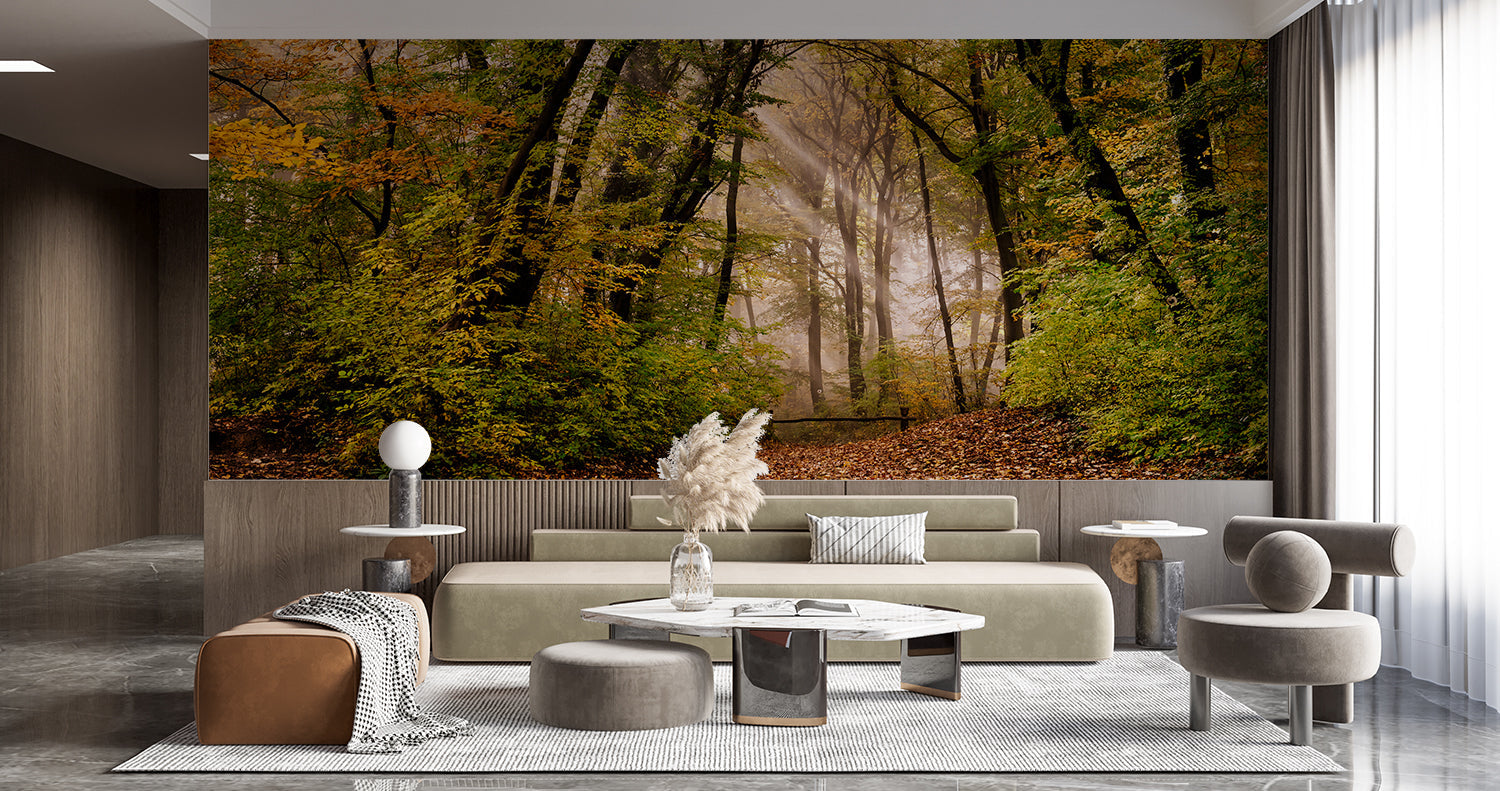 Forest Photo Wallpaper | Murals Wallpaper