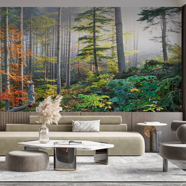 Forest Wallpaper Poster | Murals Wallpaper