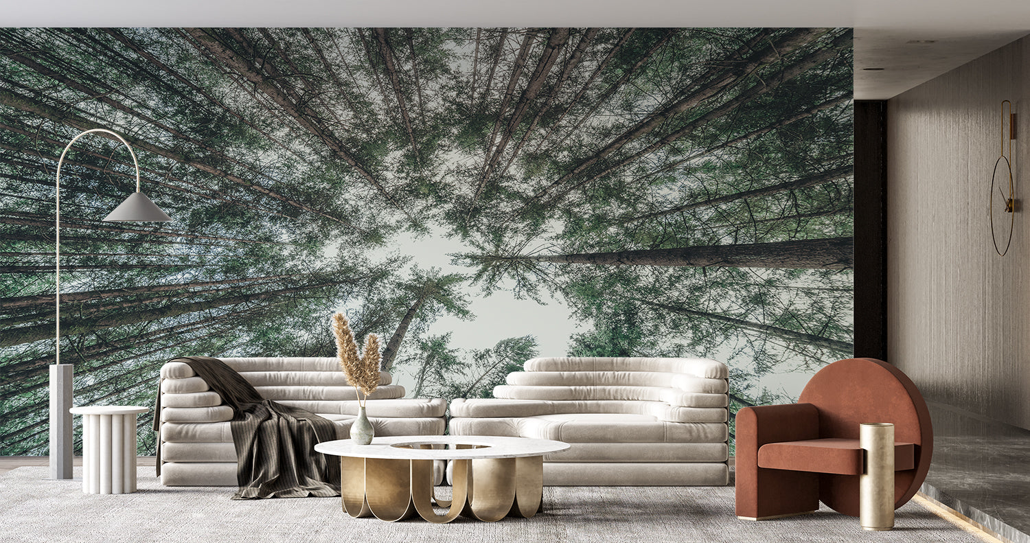 Round Forest Wallpaper | Murals Wallpaper