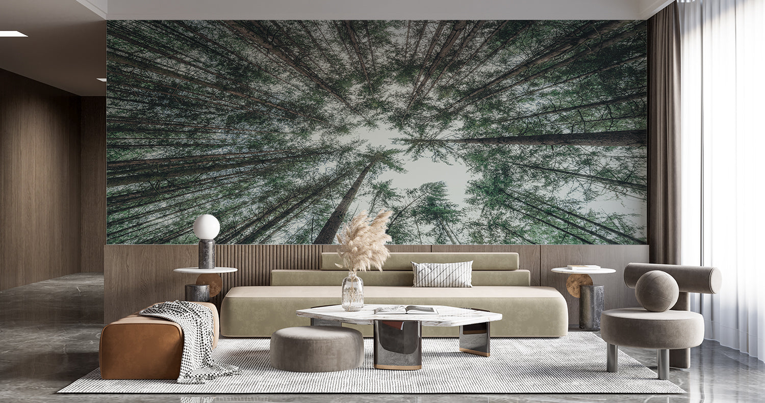 Round Forest Wallpaper | Murals Wallpaper