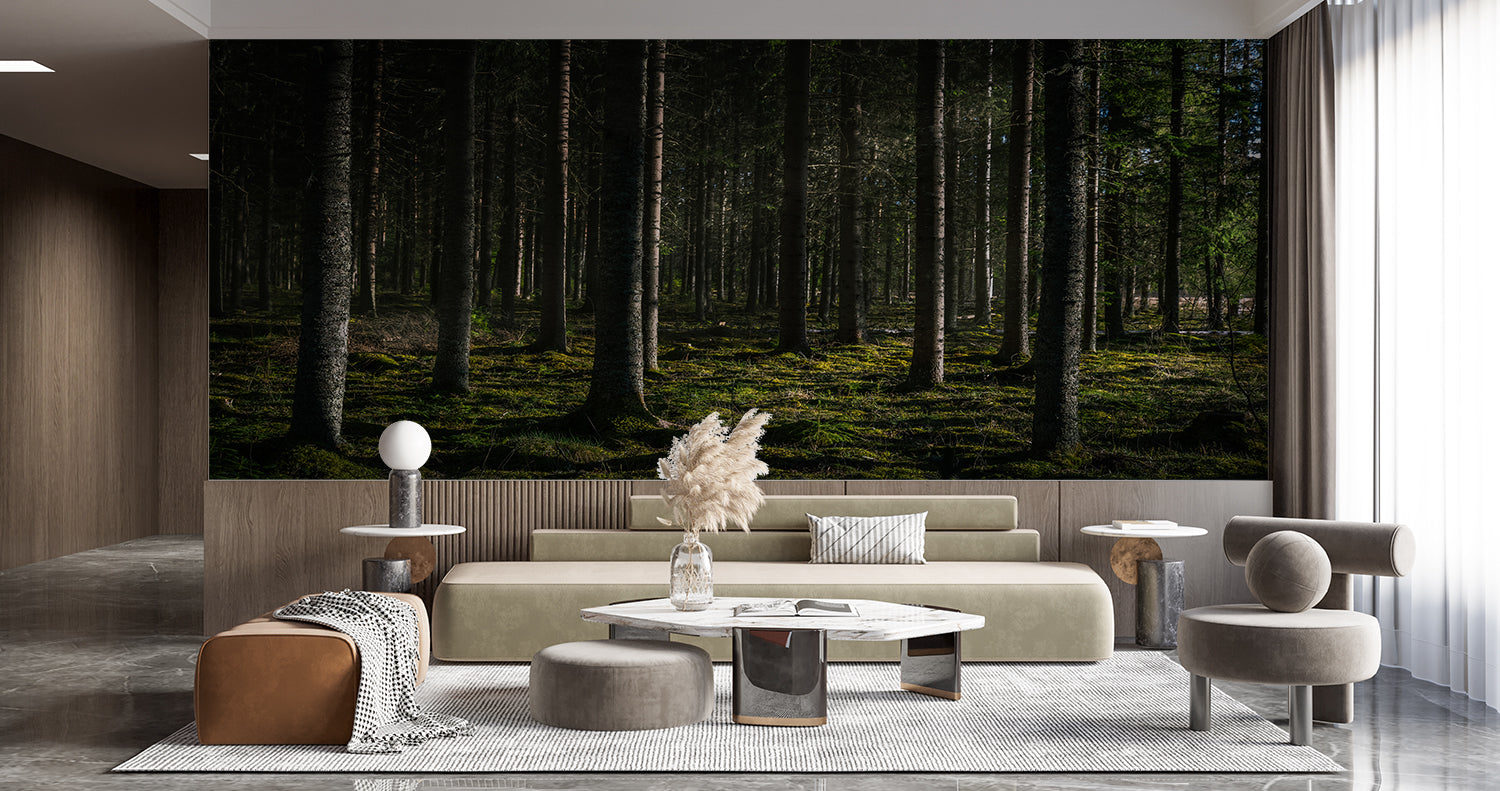 XXL Forest Wallpaper | Murals Wallpaper