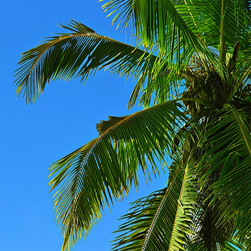 Papier peint mer plage