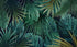 Mural Jungle Trompe L'oeil Wallpaper